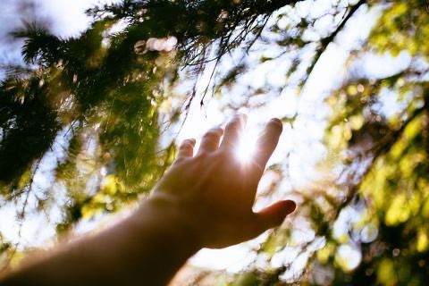 Ręka sięgająca ku słońcu jako symbol procesu terapeutycznego i rozwoju świadomości